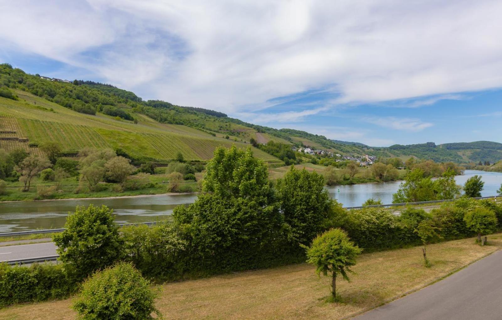 Ferienwohnung Moselgold Burg  Экстерьер фото